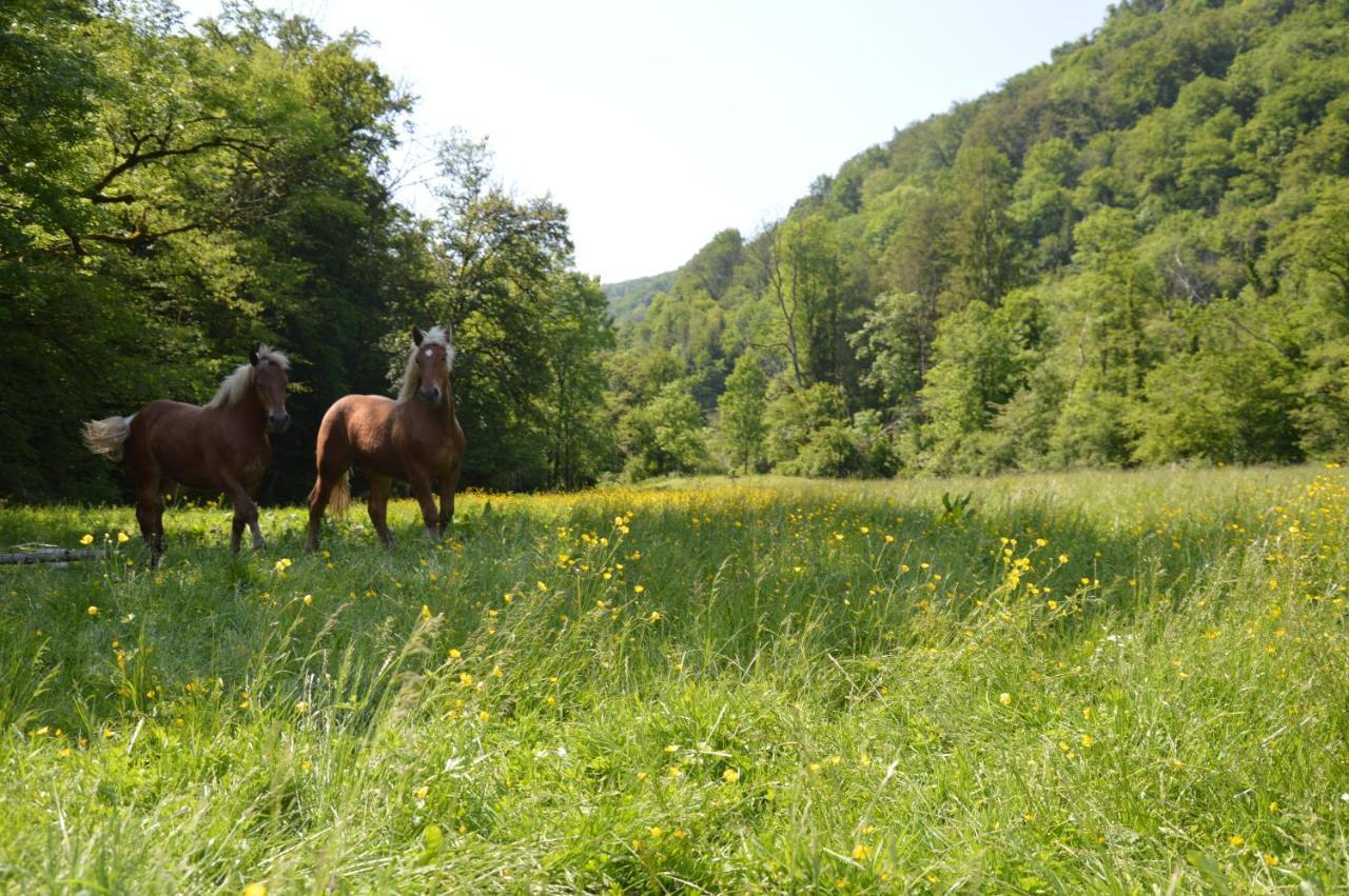 Moulin De La Cuse - L'Ilote Bed & Breakfast Cusance ภายนอก รูปภาพ